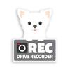 Takasu Shoten Dash Recorder Recording, Sticker, For Outdoor Use, For Outdoor Use, Dogs, Cars, Waterproof (Chihuahua)