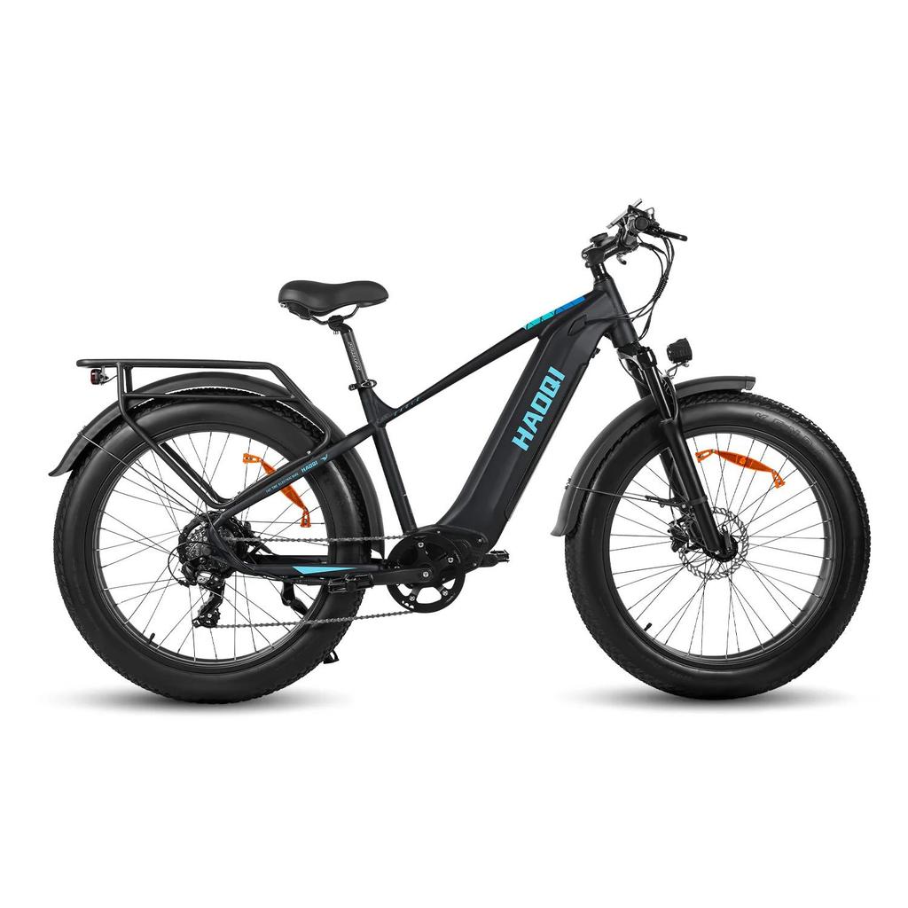 HAOQI Eagle 2.0 Step Over All-Terrain Adult Electric Bike 48V20Ah Battery 250W Motor Electric Bicycle  26 Inch Off-Road Tires E-Mountian Bike