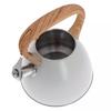 KLAUSBERG WHISTLING KETTLE 3L KB-7264