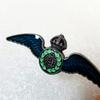 Wing Badge Metal Badge Souvenir Collection