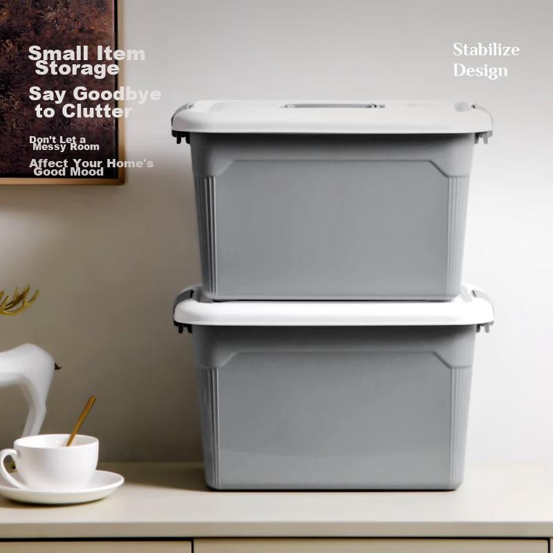 Xitianlong Plastic Storage Box for Moving, Car Organizer, 24L, Glacier Gray, 1 Piece, without Wheels
