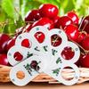 Ruler for Fruits 7 Holes Diameter Gauge Multifunction Professional Cherry Fruit Caliper Standard Measurement Measuring Ruler
