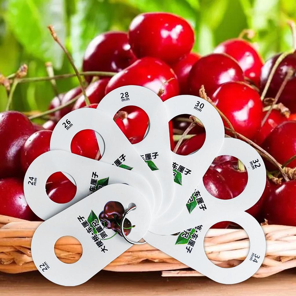 Ruler for Fruits 7 Holes Diameter Gauge Multifunction Professional Cherry Fruit Caliper Standard Measurement Measuring Ruler
