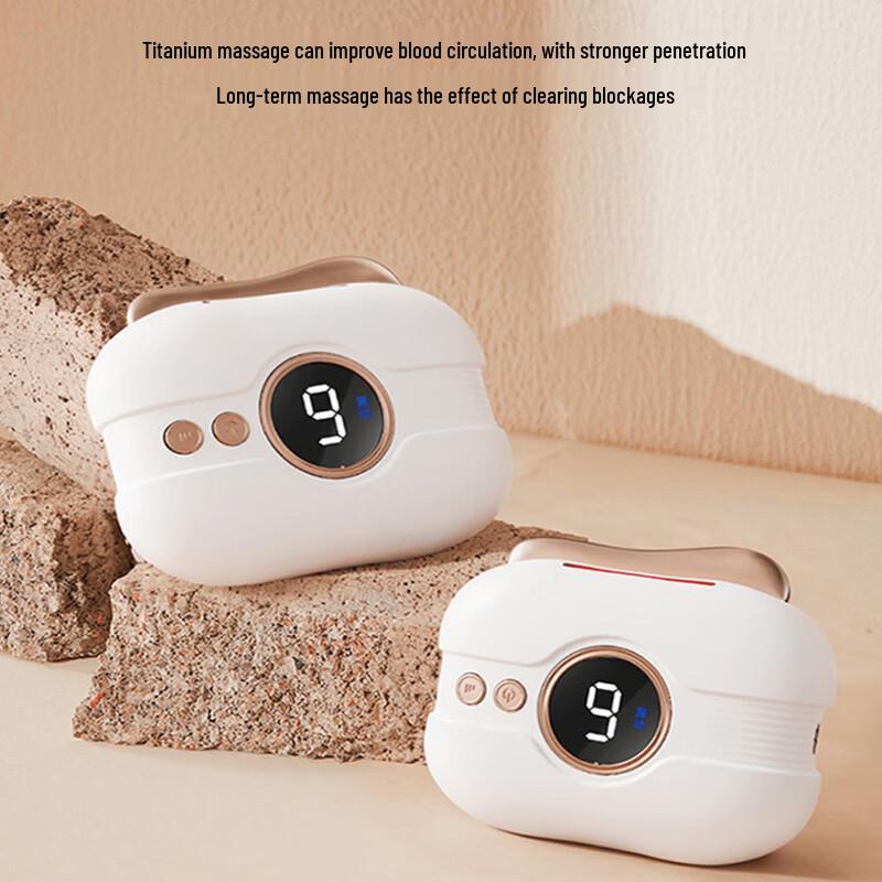 GUFIUS Head Massager and Gua Sha Set CN plug (adapter included)