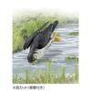 Takara Tomy Ania AS-44 Falcon Animal Dinosaur Toy Ages 3 and Up