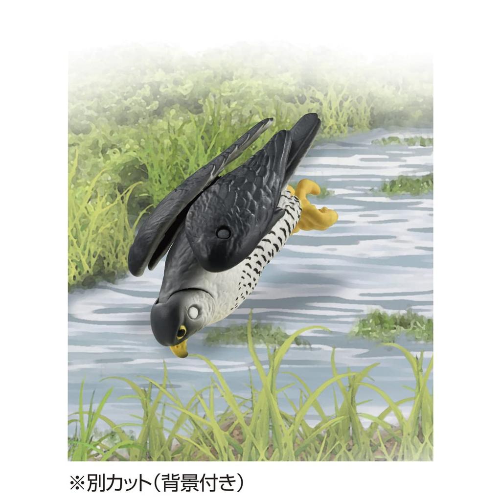 Takara Tomy Ania AS-44 Falcon Animal Dinosaur Toy Ages 3 and Up