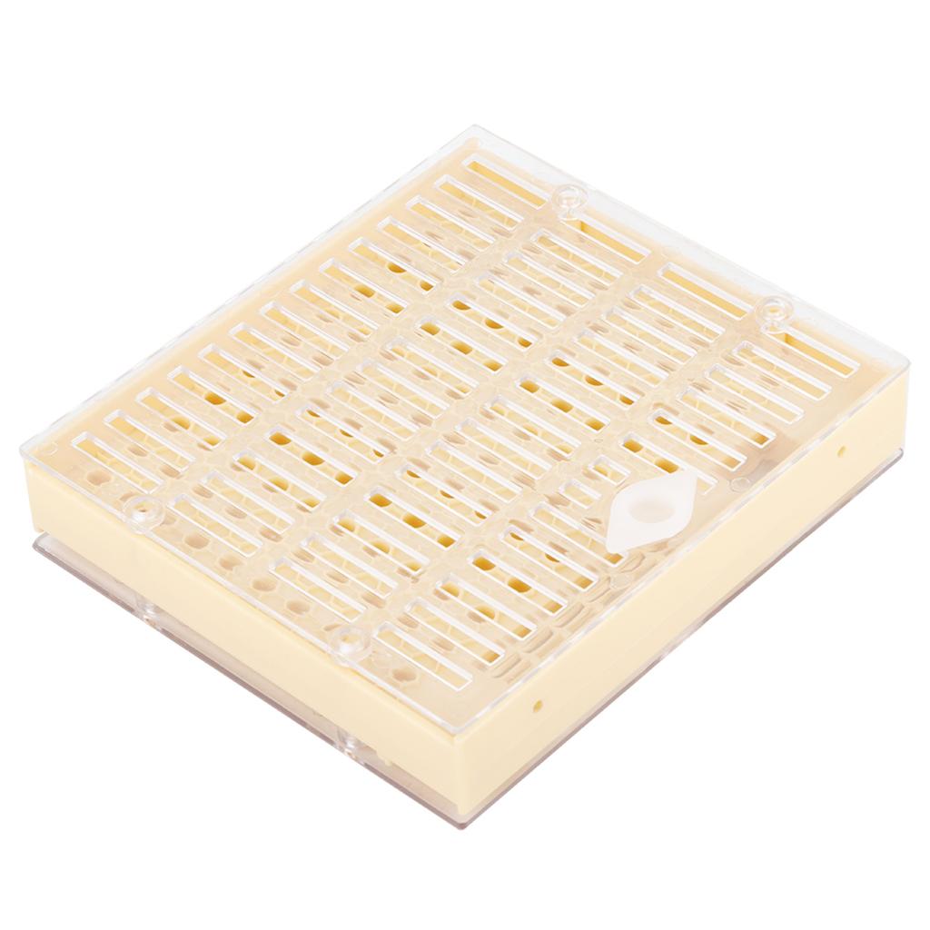 Beekeeping Rearing Cell Cup Kit Bee Queen Protective Cage Beekeeper Equipment Tools