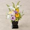 Tokyodo Preserved Flower Arrangement, Buddhist Offering Flowers, Fugetsu, W18 X D18 X H28cm, 1 Piece, ZY004907-zzz