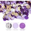 Purple Silver Confetti/Purple Birthday Party Decorations Centerpiece Table Party Decorations/Engagement Baby Shower/Wedding Purple Graduation 2025