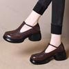 Vintage Dames Leren Schoenen 2026 Herfst Nieuw Hoogte Verhogend Buiten Antislip Middelhoge Hak Schoenen Mode Comfort Mary Jane Schoenen
