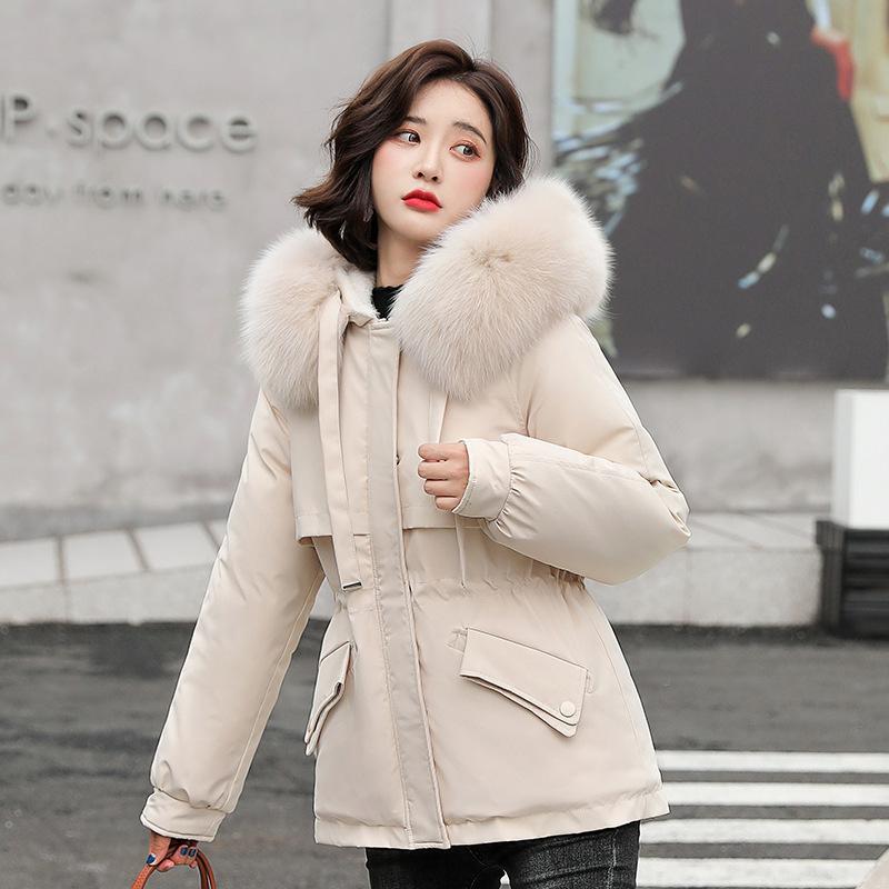 Spot new cotton-padded clothes women's inner velvet pie to overcome winter women's short big fur collar down cotton clothes
