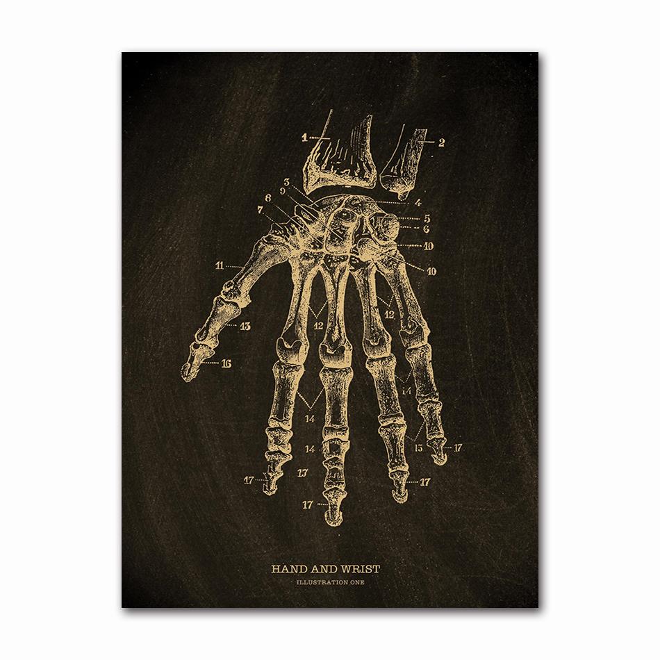Anatomical Skeleton Chalkboard Poster Kraft Paper Posters DIY Vintage Home Room Medicine Student Decor Medical Art Wall Painting