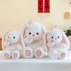 Toy Bunny Plush Cute Cartoon Butterfly Girl Children Birthday Holiday Doll Gift