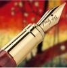 Visconti Van Gogh Plum Garden Red GT Fountain Medium Pen, Nib, KP12-23-FPM