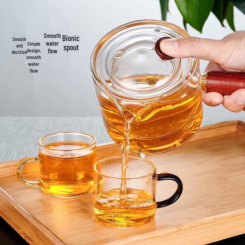 Glass Teapot with Side Handle