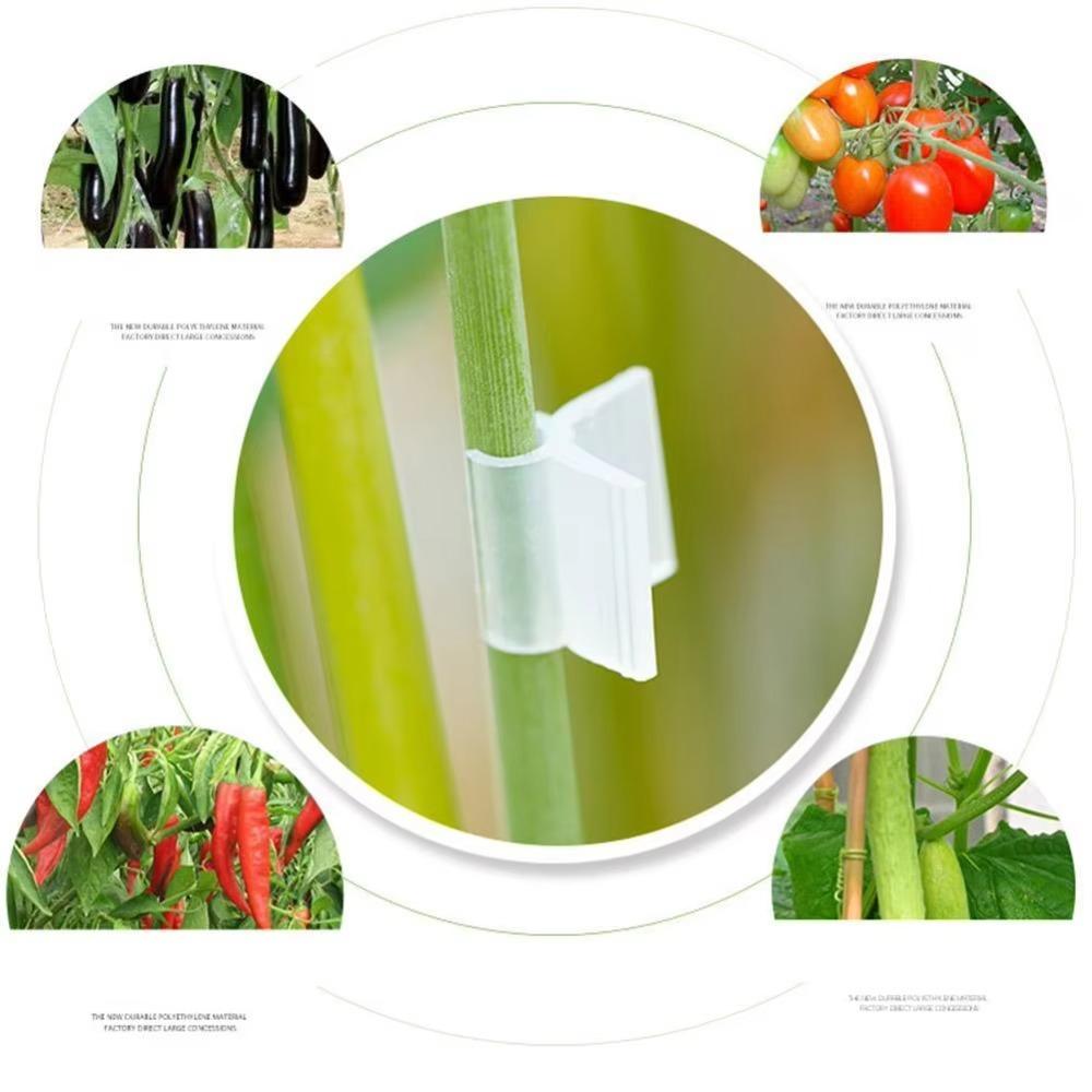 100 stk Plast Podeklips Spesielle Podingsfester Fikserte Podingsklemmer Tomat