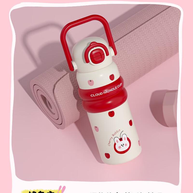 MRSIKEY 316 Stainless Steel Kids Insulated Straw Cup