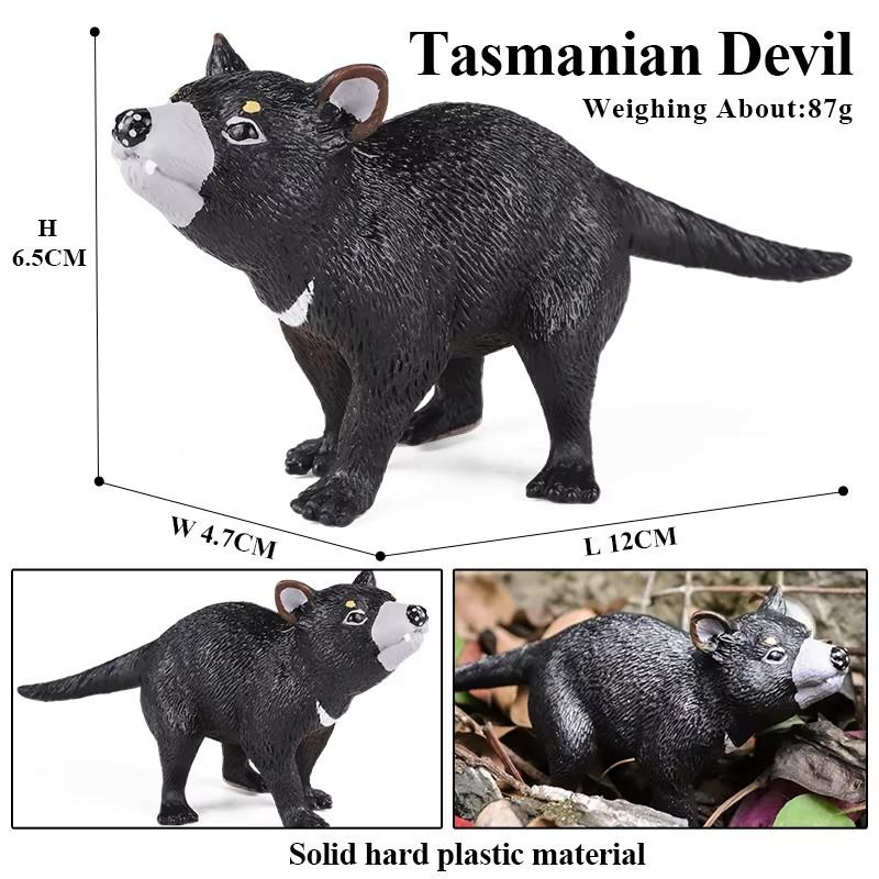 Oenux Classic Australian Wild Animals Kangaroos Koala Platypus Tasmanian Devil Echidna  Cassowary Model Figurine Toy Kid Gift