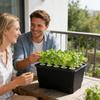 Hydroponic System Germination 15 Pods Germination Planter Indoor Hydroponic Garden For Balcony Garden Greenhouse Outdoor Farm