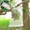 Fruit Protection Bag Anti-Bird Mesh Pest Control Device Grow Gardening Strawberry Grape Drawstring Bag Mesh Pouch 20Pcs