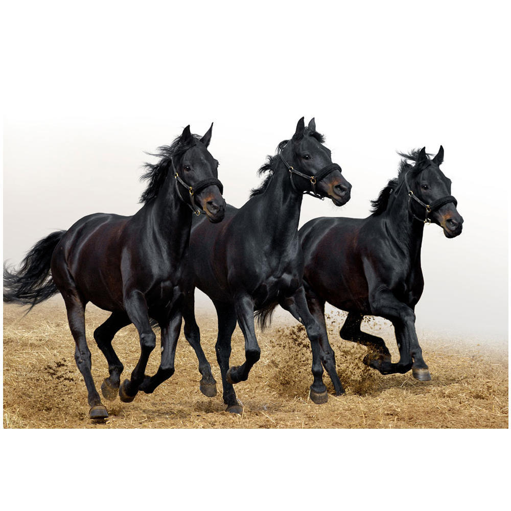 

DIY 3D Алмазная картина Животное Лошадь Вышивка Крестом Стежок Главная Декор Full Round 20x25CM