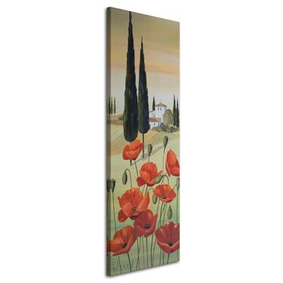 Canvas Print Tuscany Landscape Poppy Flower