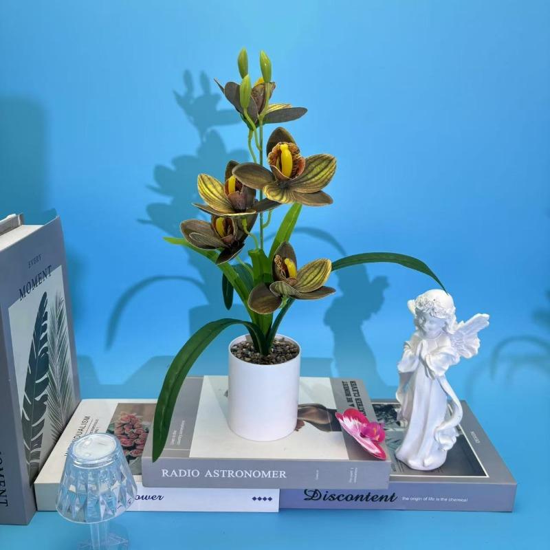 

Пятицветковый Хуэйлань Камень Дождя Бонсай для Украшения Гостевого ДомаИмитация Цветочных Горшков и Маленькие Зеленые Растения чёрный/зелёный