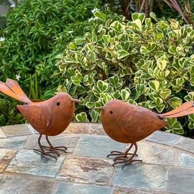 2Pcs Exquisite Decorative Ornament Metal Bird Decorative Ornament Figures Rusty Metal Bird Home Decoration