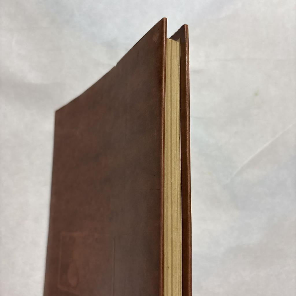 [USED] Foreign Books - War 14th Panzer Division at the Battle of Hatten-Rittershoffen Made in the USA