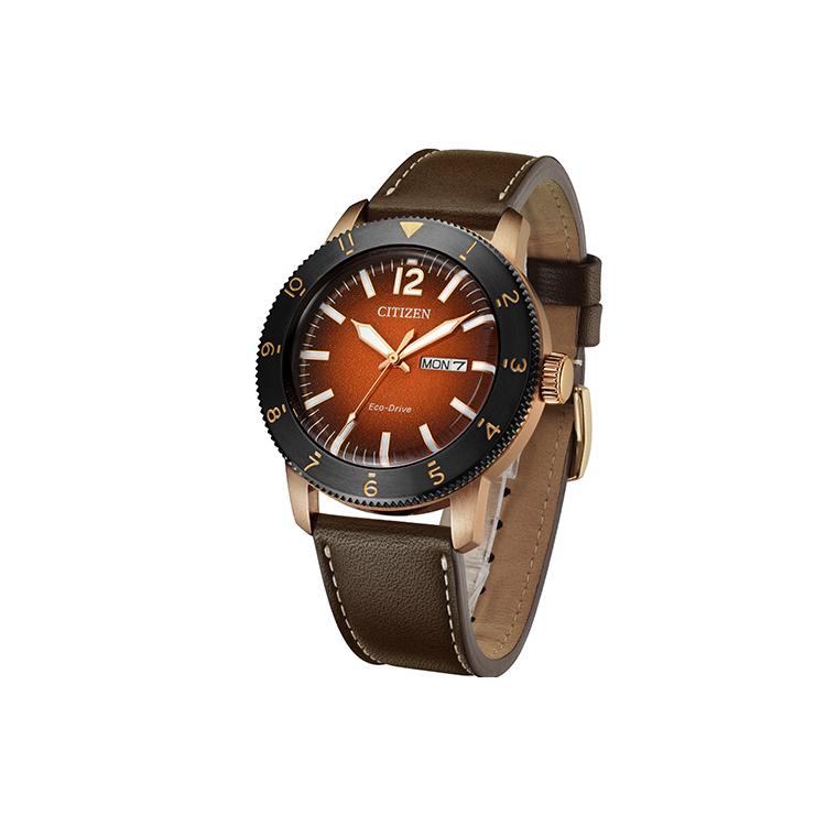 CITIZEN Men's Ecology Drive Collection Watch AW0079-13X