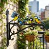 Aesthetic Wall Plant Hanger Metal Hanging Plant Bracket with Colorful Bird Pattern for Bird Feeders Wind Chimes Lantern Outdoor Indoor Patio Decor