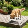 Foldable Dog Water Food Bowl Tilted Bracket Elevated Cat Feeder  Healthy Feeding