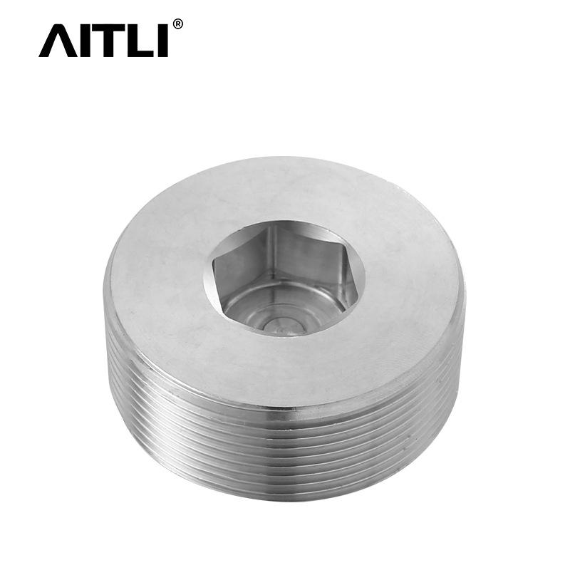 304/316 Stainless Steel Hex Socket Male Thread Oil/Water Pipe Plug