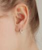 Tatiana Star Wars Hoop Earrings Ec3050