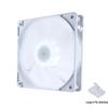 Silent LED 120mm 4-Pin Chassis Cooling Fan
