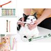 Pet Toothbrush Single Head Cat Toothbrush For Oral Care Wholesale Pet Supplies