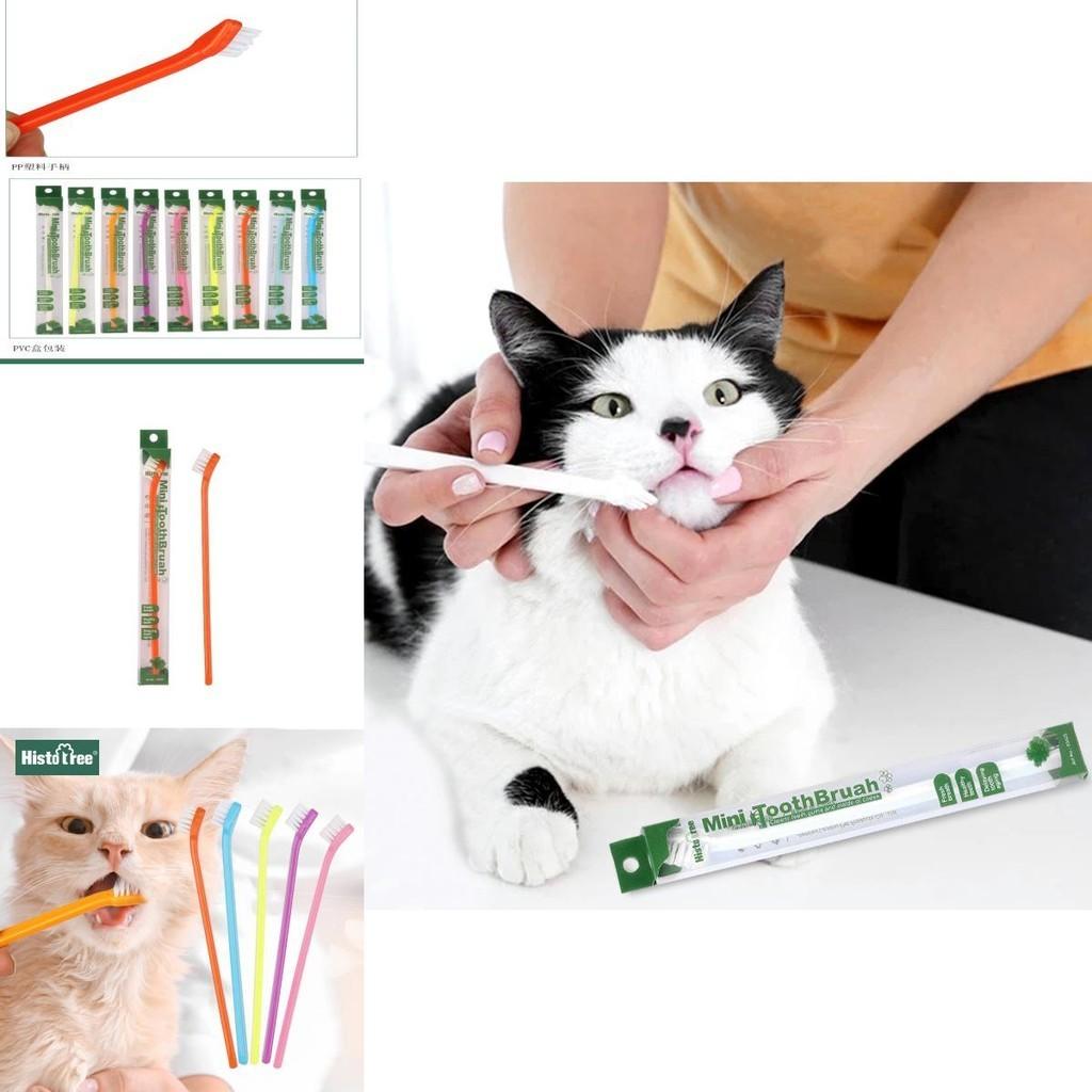 Pet Toothbrush Single Head Cat Toothbrush For Oral Care Wholesale Pet Supplies