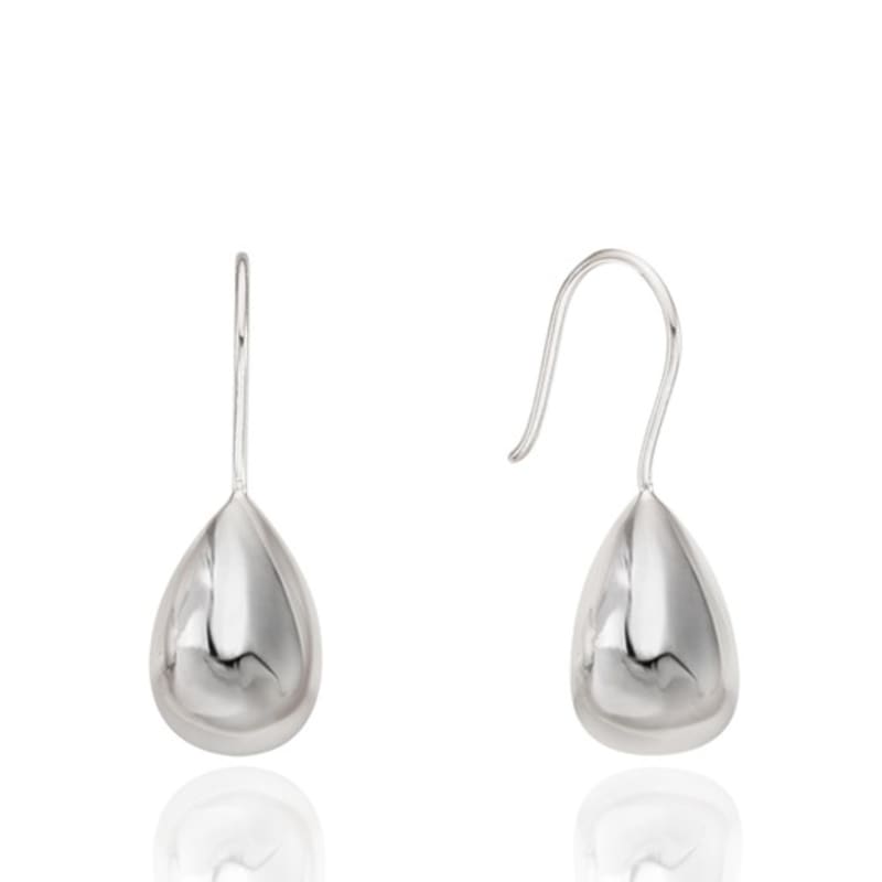Ozel Silver925 Glossy Teardrop Fish Hook Earrings ES179E