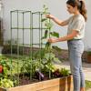 Tomato Cage 64 Inch Square Heavy Duty Stakes Cucumber Trellis Plant Cage Support for Climbing Vine Flower Vegetable Fruit Indoor