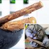 5Pcs/1Bag Pet Cat Kitten Chew Stick Treat Toy Natural Matatabi Catnip Molar