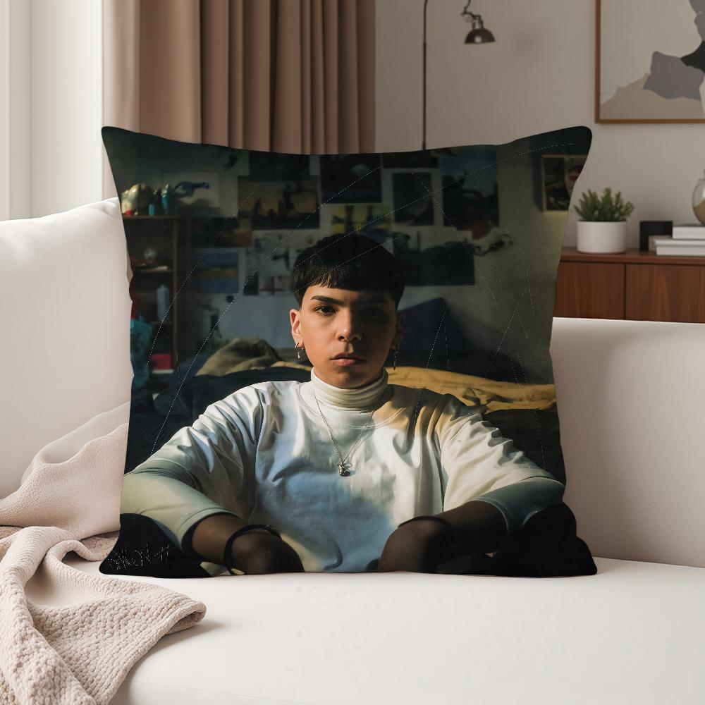 Singer MMilo J La Vida Era Mas Corta Pillow Case Suitable For Bedrooms Living Rooms Cars Home Decoration