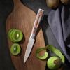 1pc Small Paring Knife for Chopping Steak Cutting Peeling fruit German 3.5 inches High Carbon Stainless Steel Fruit Knives