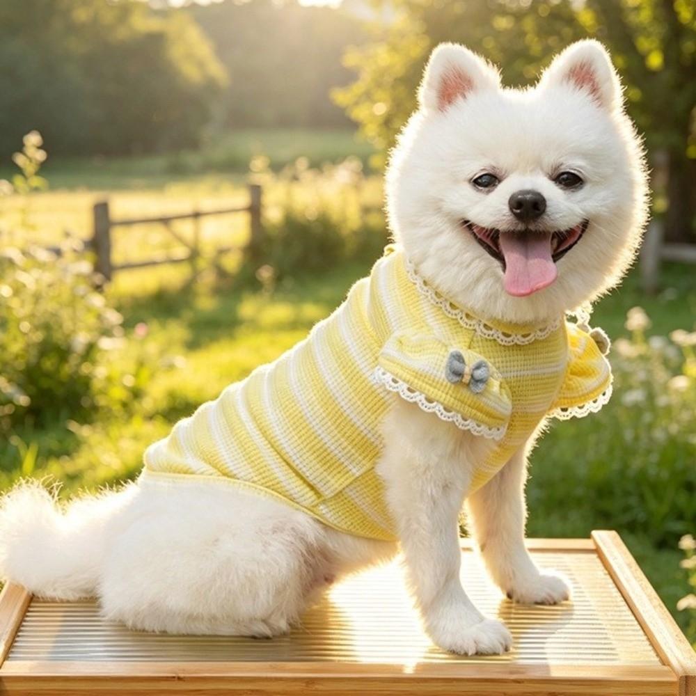Ruffle Sleeves Dog Lace Knit Vest Breathable Dog T-Shirt Pet Bubble Sleeve Tank Top Summer Wear