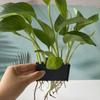 Aquarium Planter With Integrated Hook For Fish Tank Potted Live Aquarium Plants Aquarium Plant Basket Fish Tank Decorations