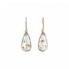 Elegant Resin Flower Water Drop Earrings: Chic Hook Design for Women