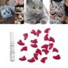 20Pcs Domestic Animal Sheath Pet Nail Covers Protect Small Nails