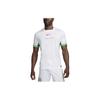 Nike Dri-FIT Nigeria 2024 Stadium Home Football Replica Shirt 'White Green' Men's FQ8837-100
