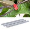Bind Branch Machine Nails Strapping Grape Binding Tool 10000Pcs 604C Staple Pins top sale