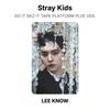 Stray Kids DO IT SKZ IT TAPE PLATFORM PLVE VER. Official Photocard
