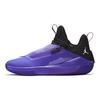 Air Jordan Jumpman Hustle Pf 'Dark Concord' AQ0394-501